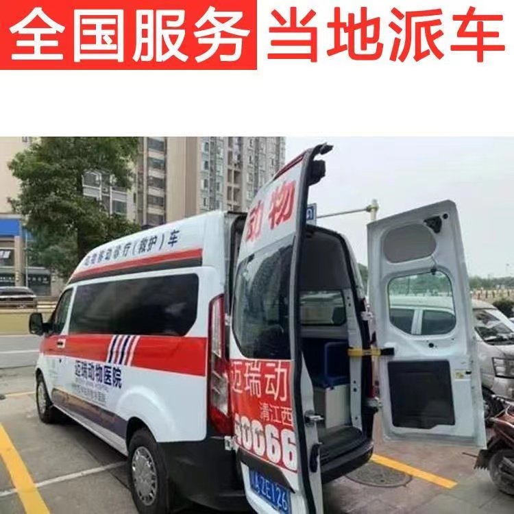 津市私人救护车护送租赁服务:安全、专业、定制化的高端护送解决方案